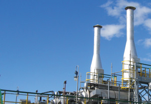 ������ ���������������